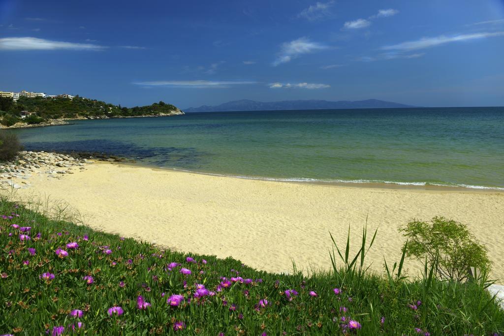 Amalia Aparthotel ปาเลออน ซิฟลิคิออน ภายนอก รูปภาพ